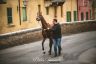 Palio Straordinario: la fotogallery delle Prove di Addestramento Mattutine